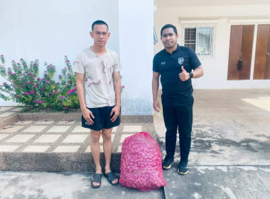 สำนักงานสหกรณ์จังหวัดหนองคายกระจายหอมแดง(ปึ๋ง) ... พารามิเตอร์รูปภาพ 28